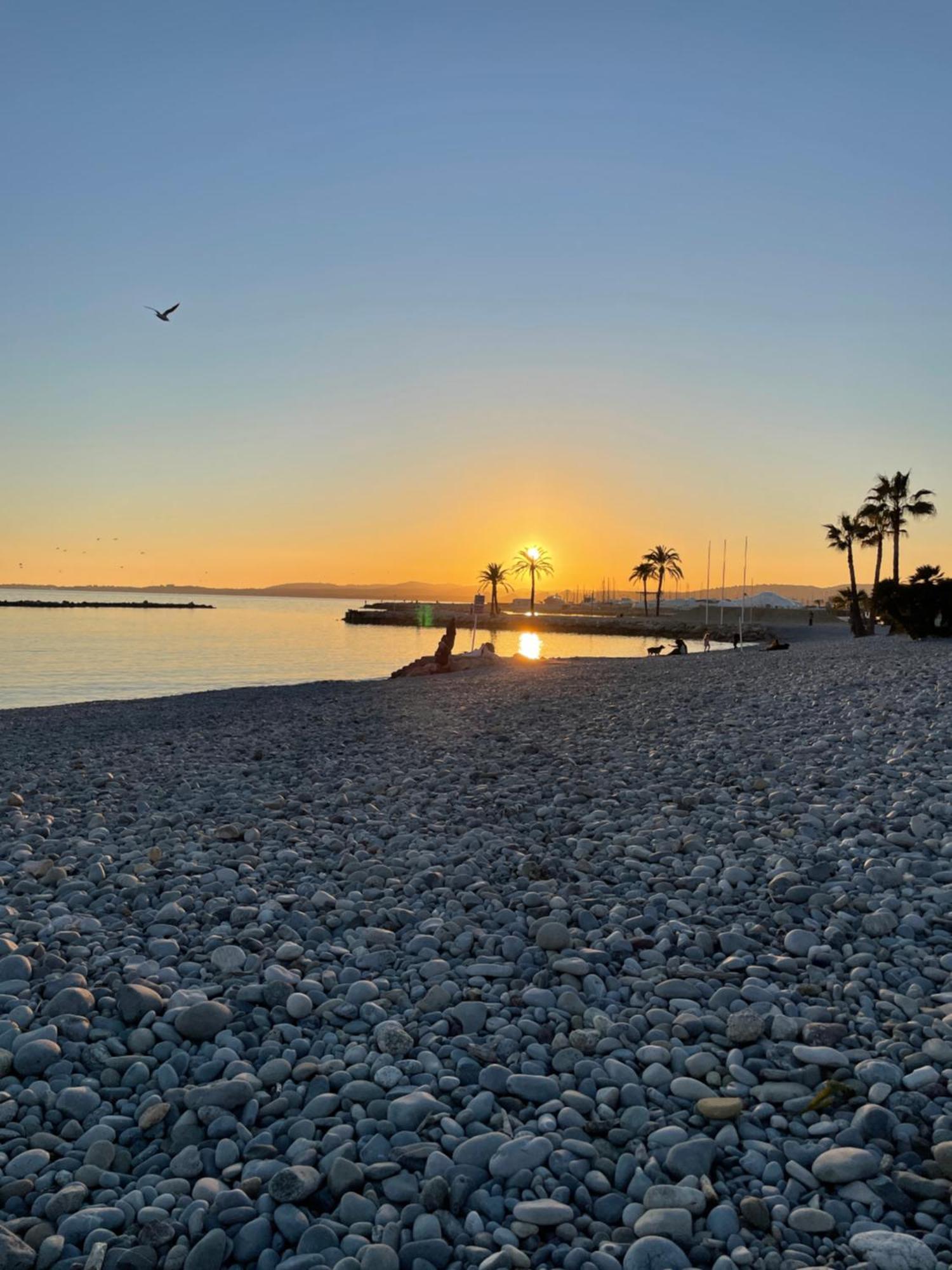 Regent Cote D'Azur Air-Conditioned, Pool, Garden & Parking Villeneuve-Loubet Exteriör bild
